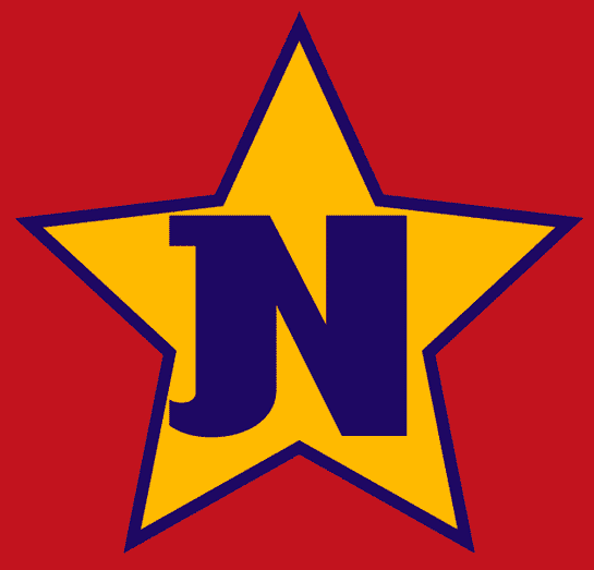 Niagara Stars 2003 Cap Logo iron on heat transfer